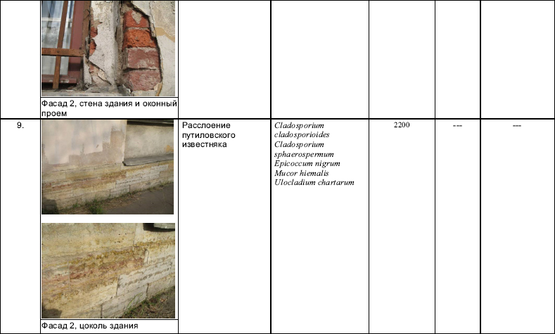 Типология разрушений памятников культуры - i_133.png