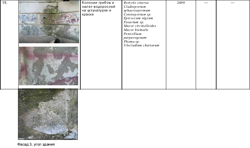 Типология разрушений памятников культуры - i_139.png
