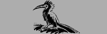 Черный феникс. Африканское сафари - img17.png