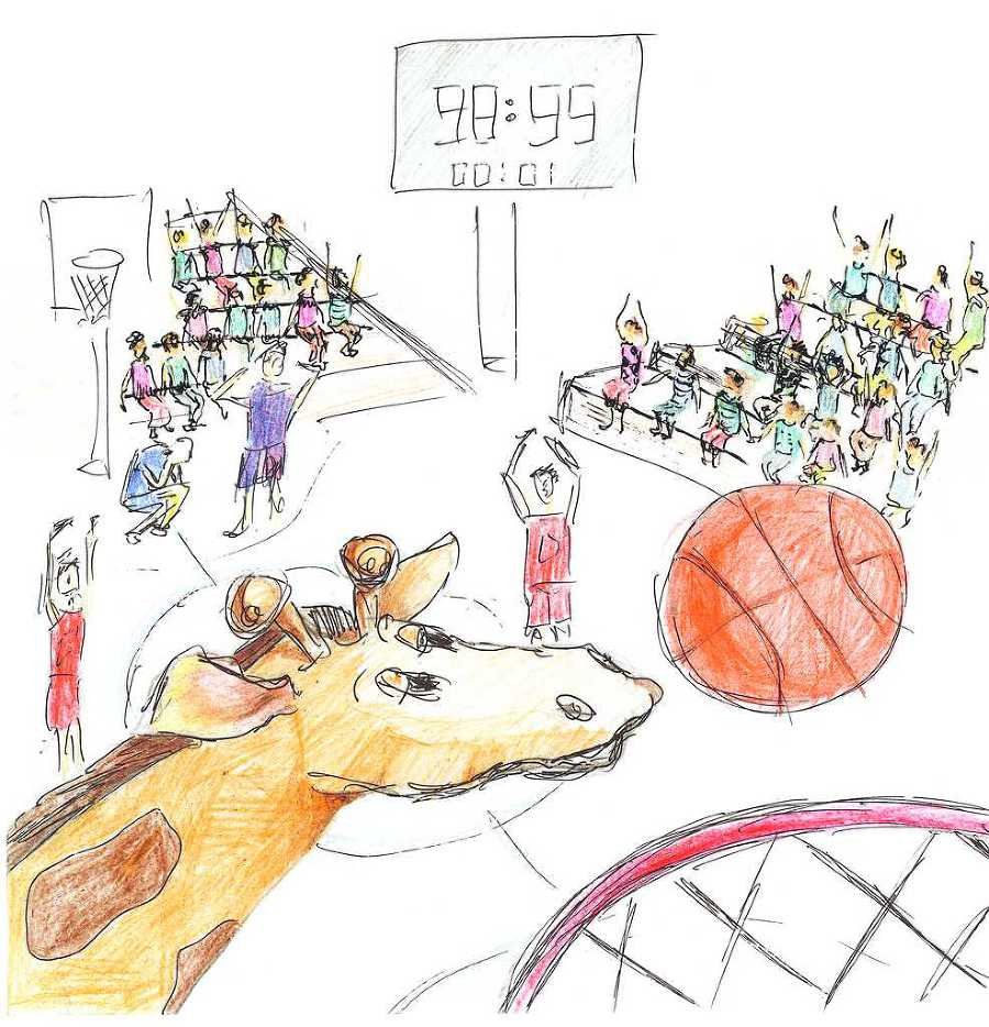 Приключения жирафчика Высика в Стране Баскетболии. Азбука Страны Баскетболии - image11_53da7add37eca2d5458b45ee_jpg.jpeg