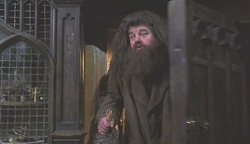 Гарри Поттер и Тайная комната (с илл. из фильма) - i_065.jpg