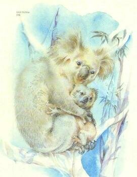 Про коалу Ушастика, черепаху Сарли и Карроинги-эму - img02.jpg