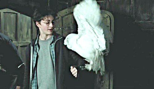 Гарри Поттер и узник Азкабана (с илл. из фильма) - i_011.jpg