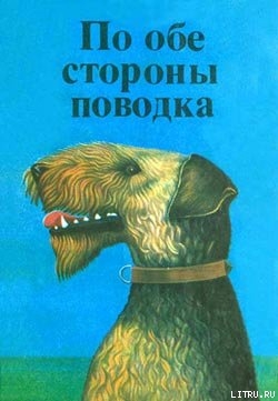 Книга Фернандо, совсем необычный пес