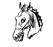Лошадь без головы (с иллюстрациями) - i_010.png