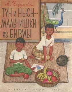Книга Тун и Ньюн - мальчишки из Бирмы