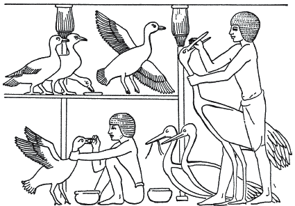 Боги и люди Древнего Египта - _100.png