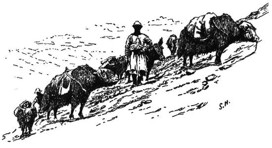 В сердце Азии. Памир — Тибет — Восточный Туркестан. Путешествие в 1893–1897 годах - i_002.png