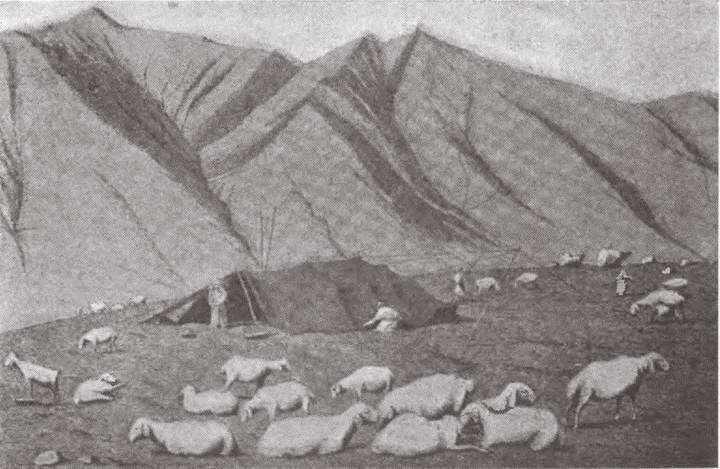 В сердце Азии. Памир — Тибет — Восточный Туркестан. Путешествие в 1893–1897 годах - i_077.jpg