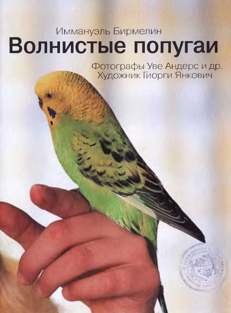 Волнистые попугаи - image2.jpg