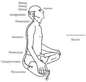 Древние тантрические техники йоги и крийи. Мастер-курс - image009.png