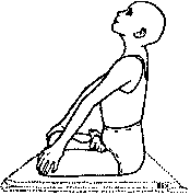 Древние тантрические техники йоги и крийи. Мастер-курс - image029.png