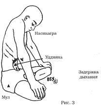 Древние тантрические техники йоги и крийи. Мастер-курс - image032.png