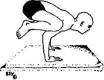 Древние тантрические техники йоги и крийи. Мастер-курс - image038.png