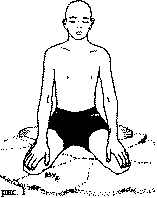 Древние тантрические техники йоги и крийи. Мастер-курс - image039.png