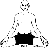 Древние тантрические техники йоги и крийи. Мастер-курс - image041.png