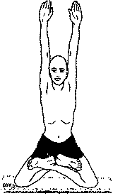 Древние тантрические техники йоги и крийи. Мастер-курс - image048.png