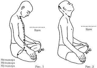 Древние тантрические техники йоги и крийи. Мастер-курс - image051.png