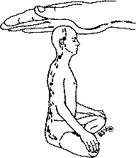 Древние тантрические техники йоги и крийи. Мастер-курс - image076.png