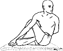 Древние тантрические техники йоги и крийи. Мастер-курс - image083.png