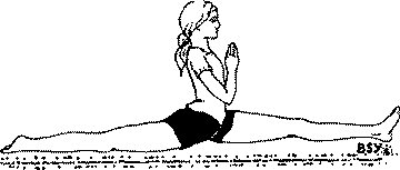 Древние тантрические техники йоги и крийи. Мастер-курс - image084.png