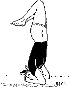 Древние тантрические техники йоги и крийи. Продвинутый курс - image114.png