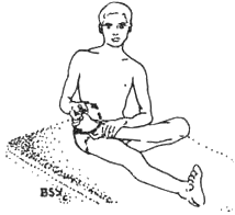 Древние тантрические техники йоги и крийи. Вводный курс - image003.png