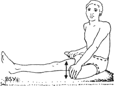 Древние тантрические техники йоги и крийи. Вводный курс - image004.png