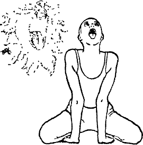 Древние тантрические техники йоги и крийи. Вводный курс - image018.png