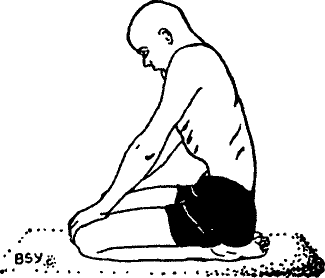 Древние тантрические техники йоги и крийи. Вводный курс - image039.png