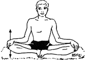 Древние тантрические техники йоги и крийи. Вводный курс - image045.png
