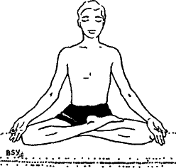 Древние тантрические техники йоги и крийи. Вводный курс - image053.png