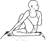 Древние тантрические техники йоги и крийи. Вводный курс - image062.png