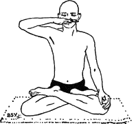 Древние тантрические техники йоги и крийи. Вводный курс - image063.png