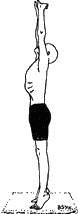 Древние тантрические техники йоги и крийи. Вводный курс - image064.png