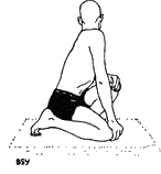 Древние тантрические техники йоги и крийи. Вводный курс - image068.png
