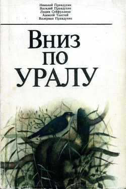 Книга Вниз по Уралу