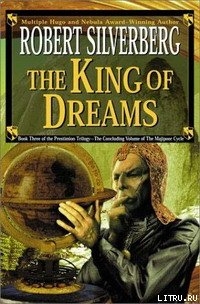 Книга Король снов