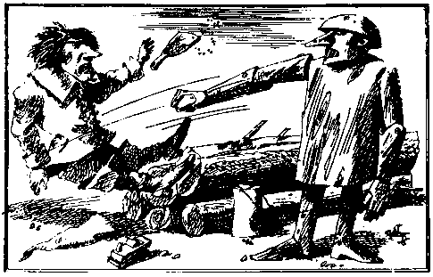 Урфин Джюс и его деревянные солдаты (илл. И Шуриц) - pic_7.png