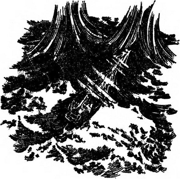 Берег черного дерева и слоновой кости (сборник) - i_004.jpg