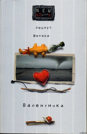 Книга Валентинка