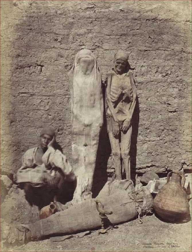 Пыль Египта. Рассказы о мумиях. Том III - image4.jpg