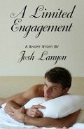 Книга A Limited Engagement