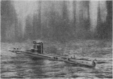 Подводный флот специального назначения - i_025.jpg
