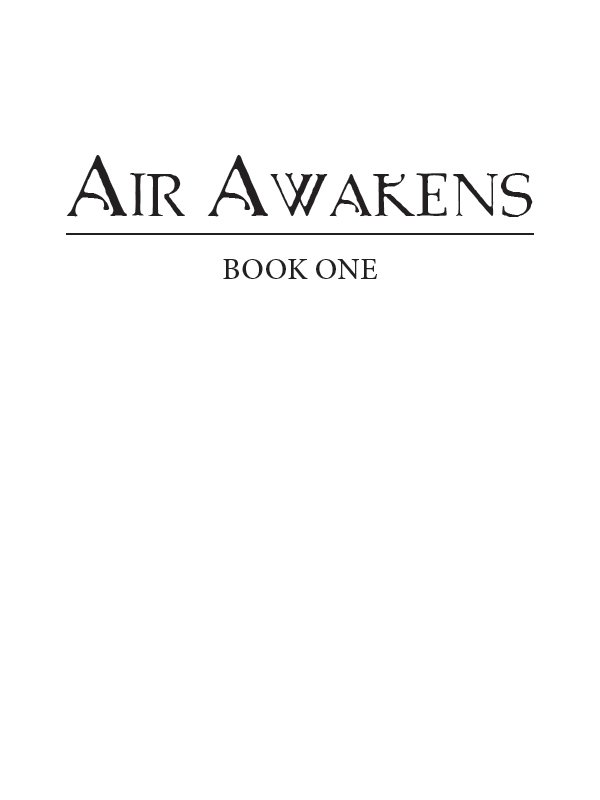 Air Awakens - _1.jpg