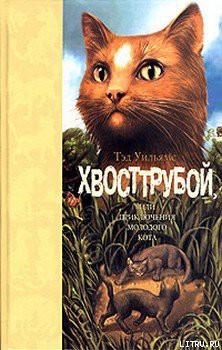 Книга Хвосттрубой, Или Приключения Молодого Кота