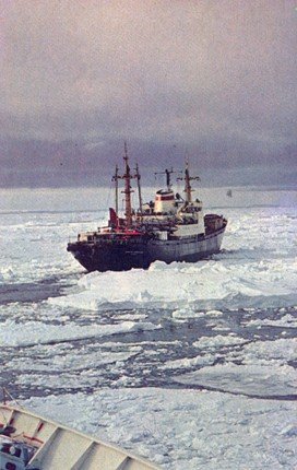 460 дней в Четвертой Советской антарктической экспедиции - any2fbimgloader1.jpeg