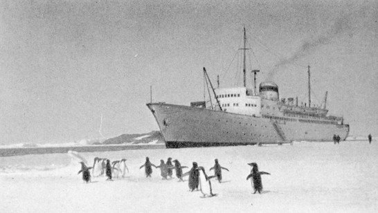 460 дней в Четвертой Советской антарктической экспедиции - any2fbimgloader10.jpeg