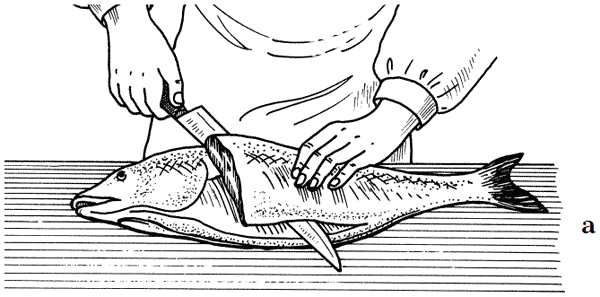 Как сохранить и приготовить рыбу на водоеме и дома - i_019.png