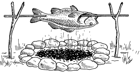 Как сохранить и приготовить рыбу на водоеме и дома - i_036.png
